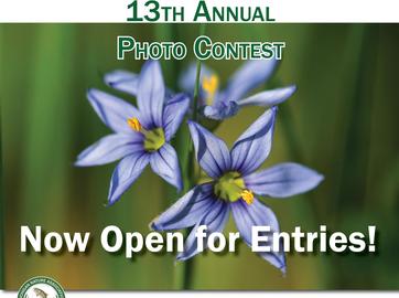 13th Annual Photo Contest